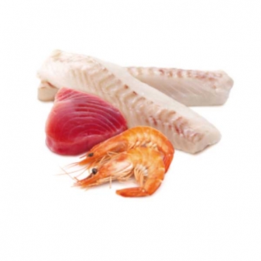 N&D Cat Ocean Tuna, Cod&Shrimp