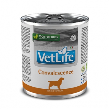 Vet Life Natural Diet Dog Convalescence