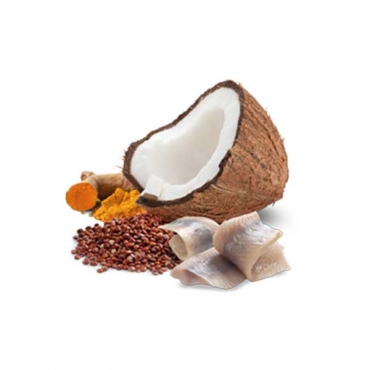 N&D Cat Quinoa Herring&Coconut