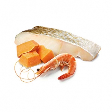 N&D Cat Ocean Cod, Shrimp&Pumpkin Kitten